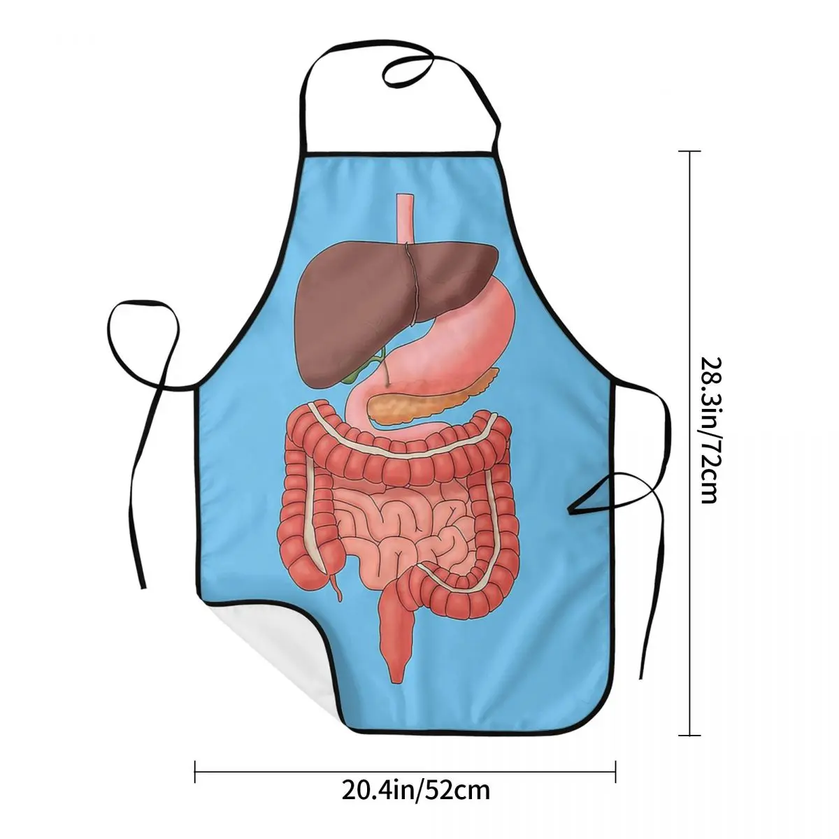 Digestive System Organs, Medical Illustration Aprons Chef Cooking Cuisine Tablier Bib Kitchen Cleaning Pinafore for Women Men