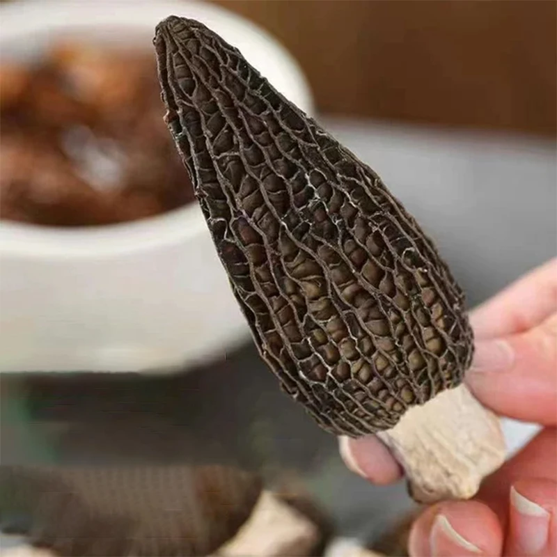 Dried Morel Mushroom Yunnan Special Grade Wild Yangdujun Mushroom 5-8cm Dried Mushroom DIY Resin Raw Material Photography Props