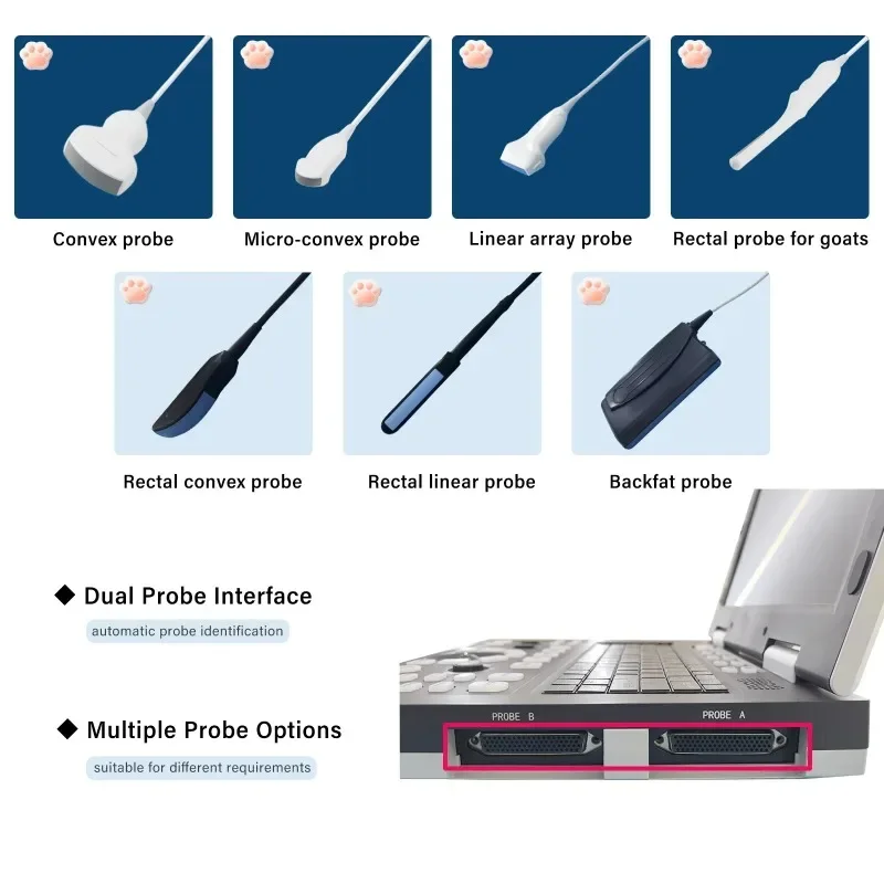آلة الموجات فوق الصوتية البيطرية المحمولة معدات الموجات فوق الصوتية البيطرية للعيادات المستشفى حلول الموجات فوق الصوتية البيطرية المتاحة