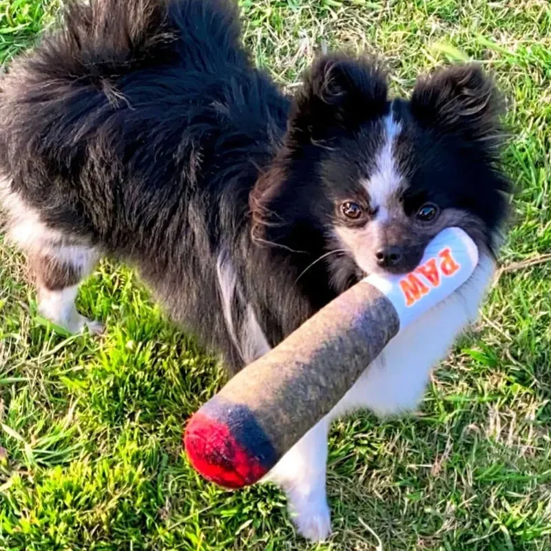 Jouet à mâcher pour chien en peluche en forme de batte de baseball, jouet interactif pour animaux de compagnie sur le thème du sport, pour chiens de petite et moyenne taille