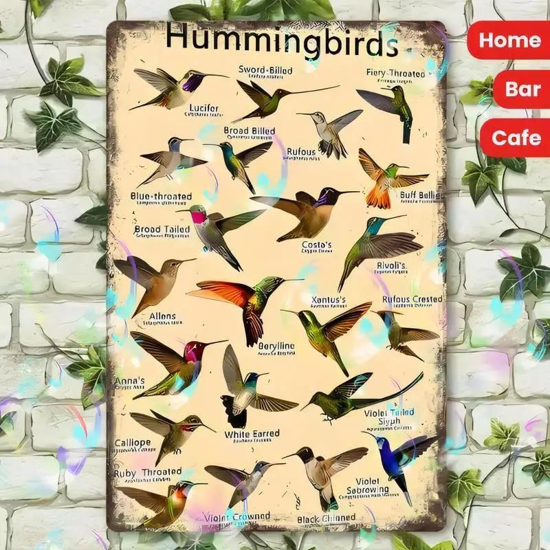 Vintage Hummingbirds Metal Tin Sign, Colorful Species Design Retro Wall Art - Iron, Rustic Style, Perfect for Home/Bar/Cafe Deco