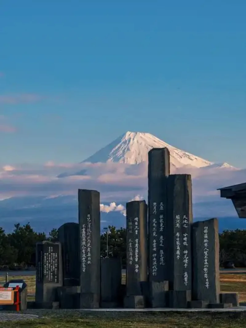 

Car Headlights TPU Protection Film For Toyota RAV4 Hybrid XA50 2019-2024 Front Headlight TPU Smoke Black Auto Accessories