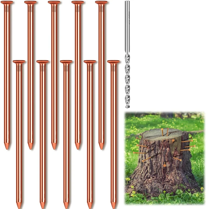 AT05-10Pcs 3.15 Inch Pure Copper Nails For Killing Trees Stump Root With Drill,Stump Removal Spikes Bulk Pack