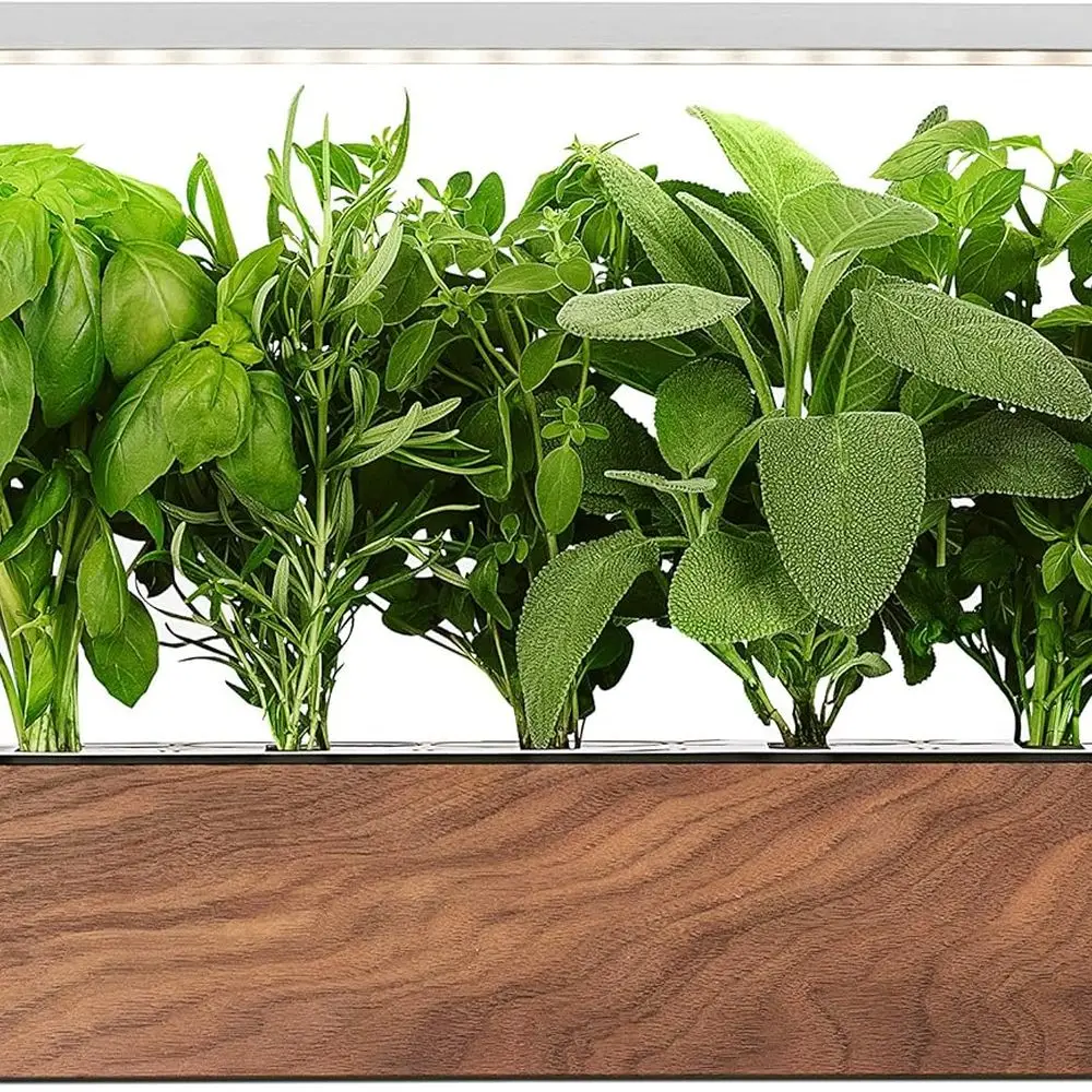 

Умный комнатный травяной сад: выращивание 10+ растений, цветов и базилика с рассадыми для iOS