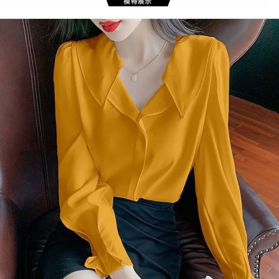 Chiffon Shirt Women\'s Long Sleeved Spring and Autumn New Style Korean Version Temperament Bubble Sleeve Top Shirt