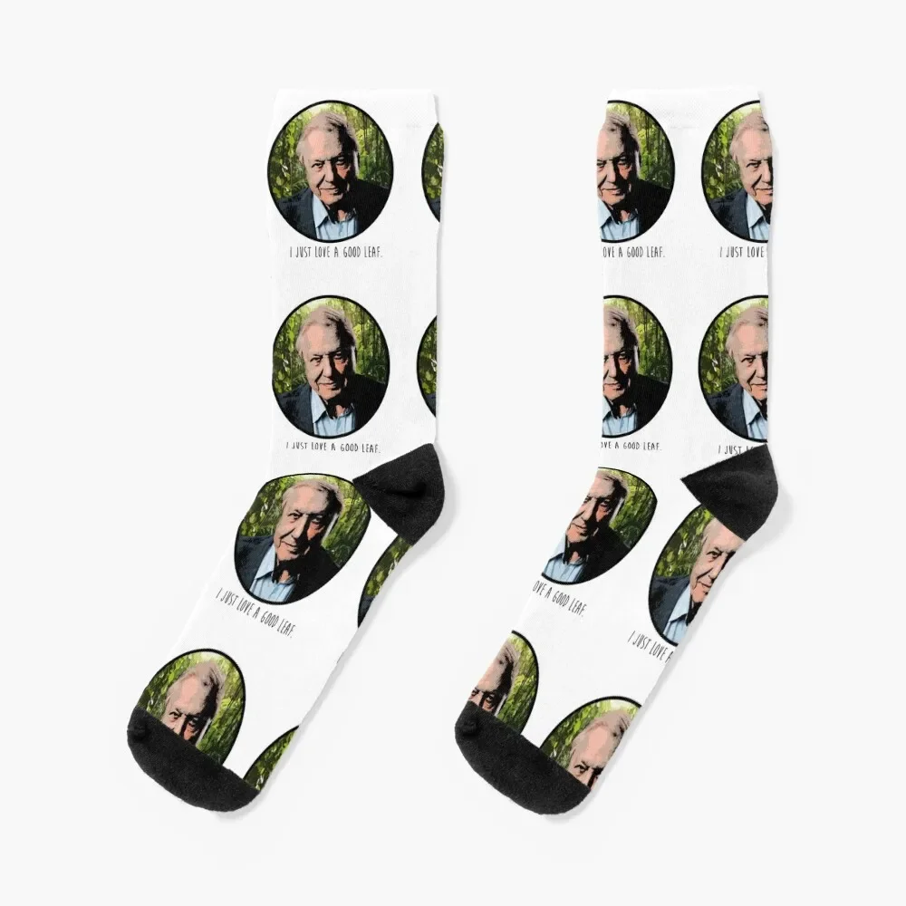 

David Attenborough I Just Love A Good Leaf Socks christmas gifts designer brand winter gifts Socks Man Women's