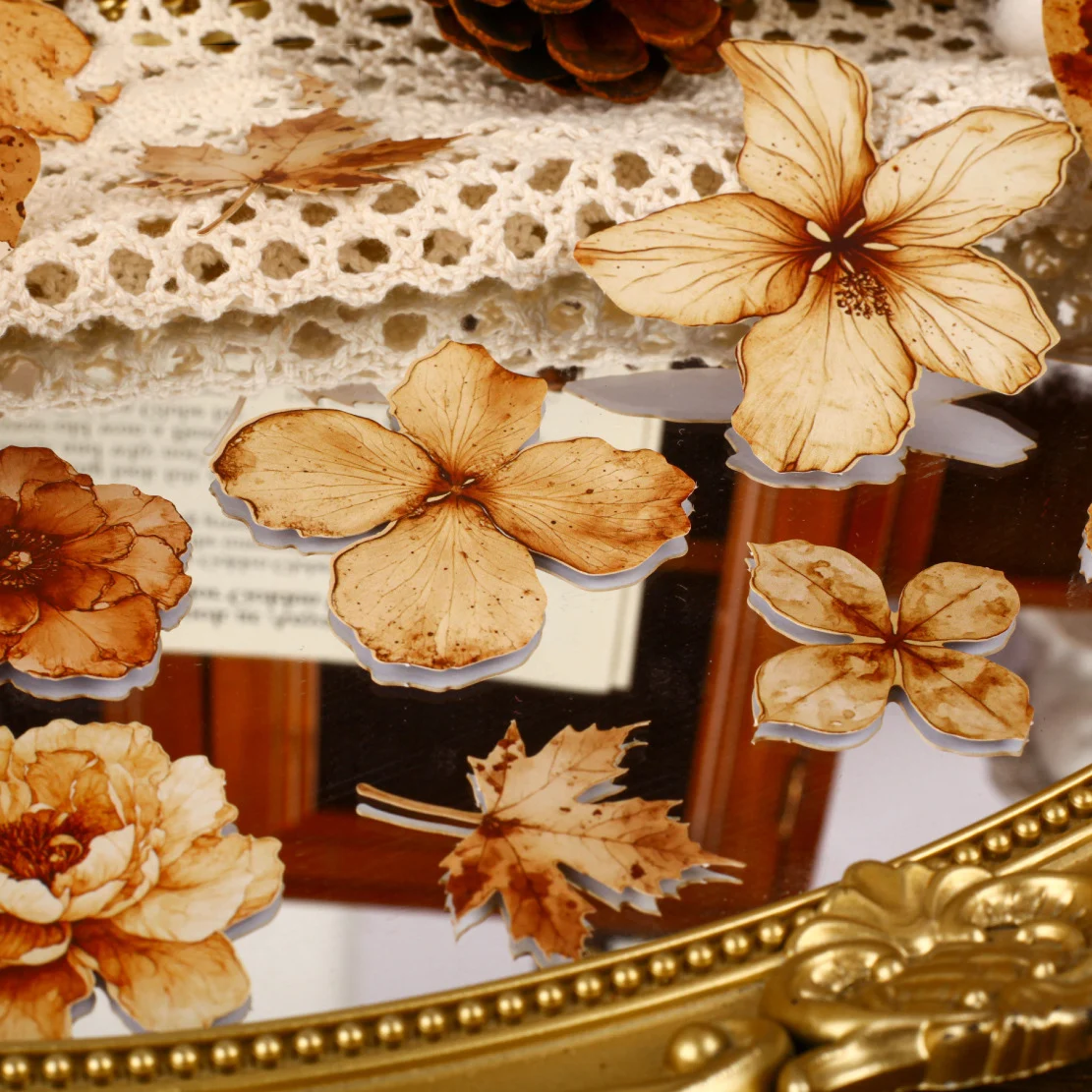 Dry Stain Series Vi… - image