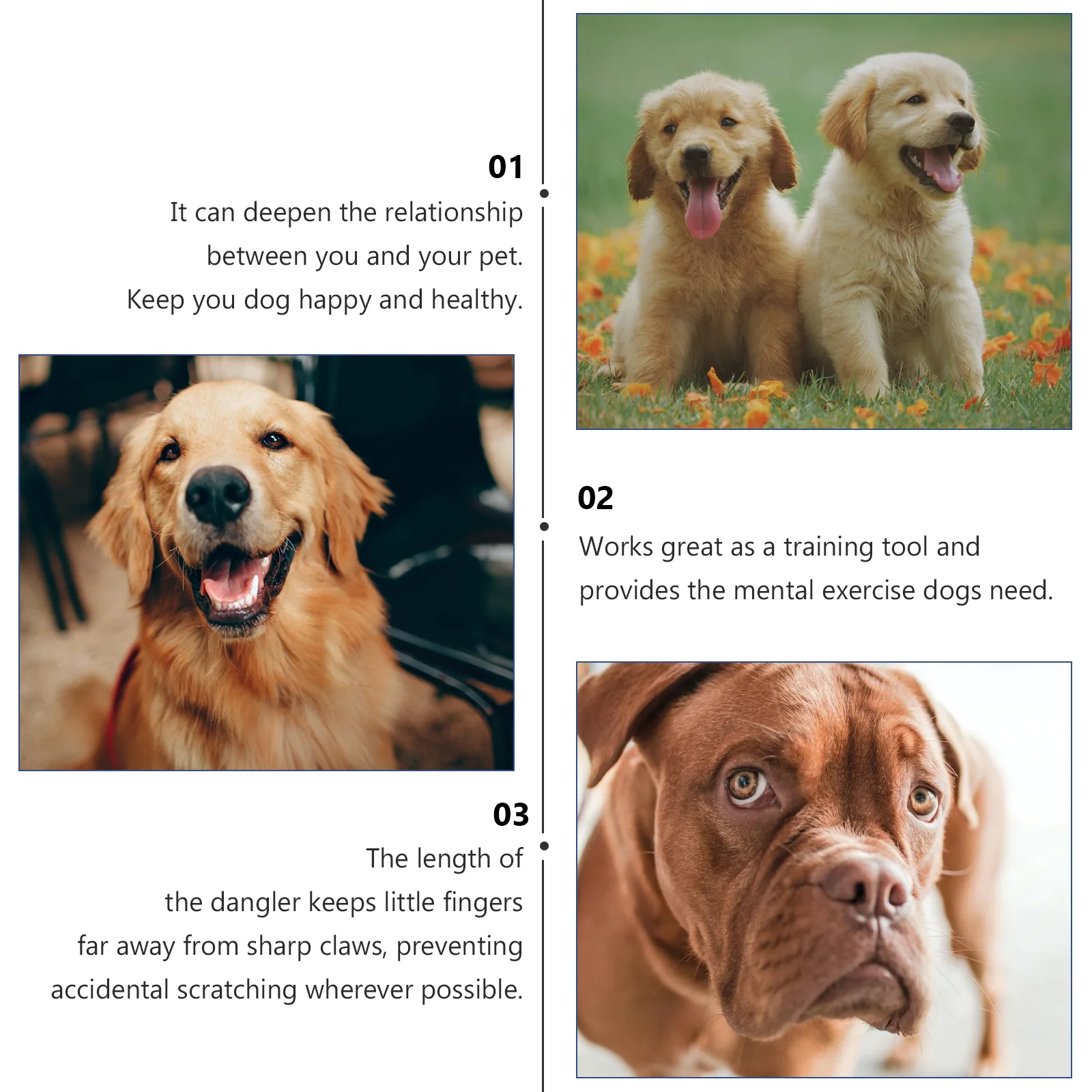 

Dog Teaser Stick Extendable Flirt Pole Collapsible Pet Training For Puppy Play Chasing Exercise Rosy Golden L