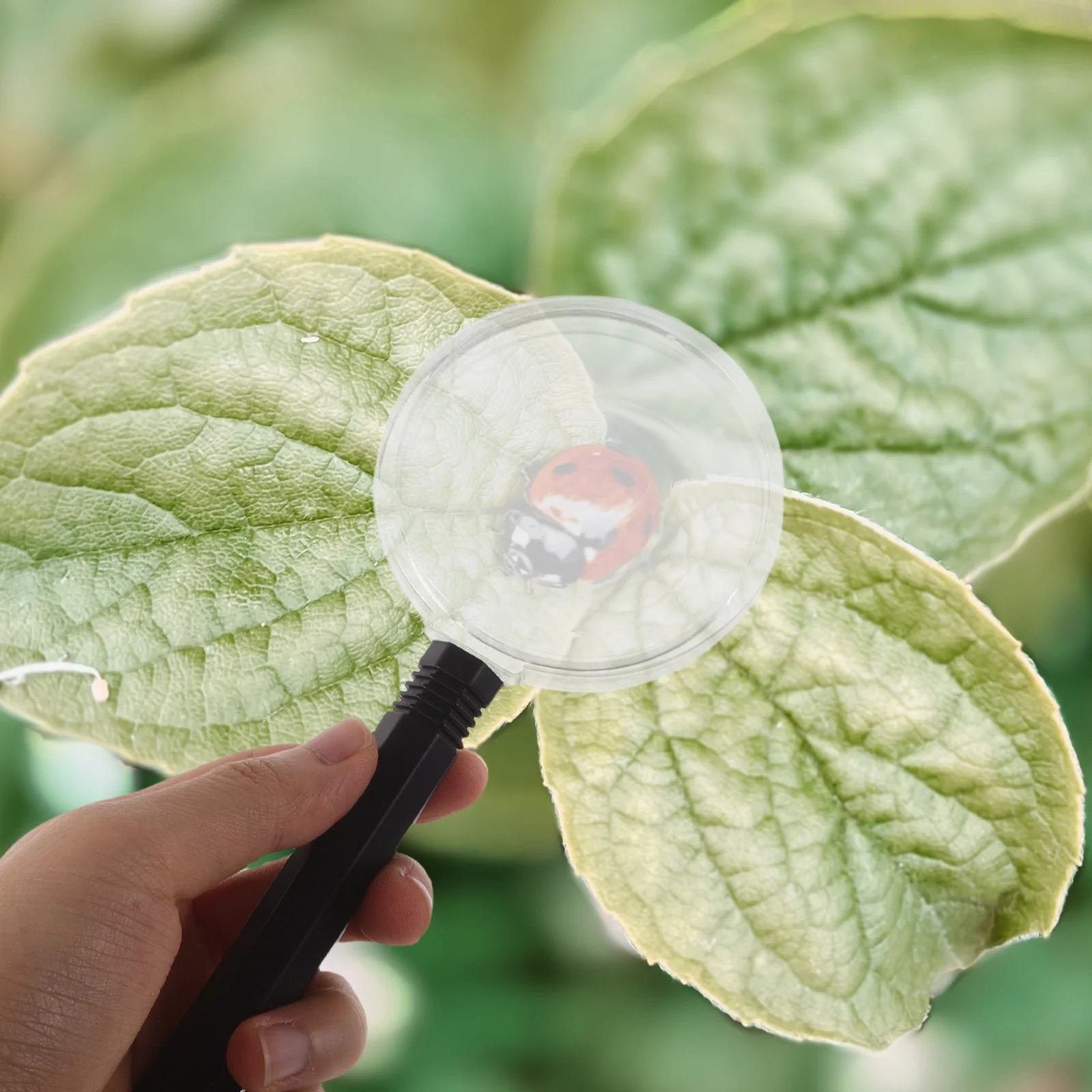 

10Pcs Kids Handheld Magnifying Glass Portable Mini Clear Lens Small Magnifier for Outdoor Exploration Reading Science