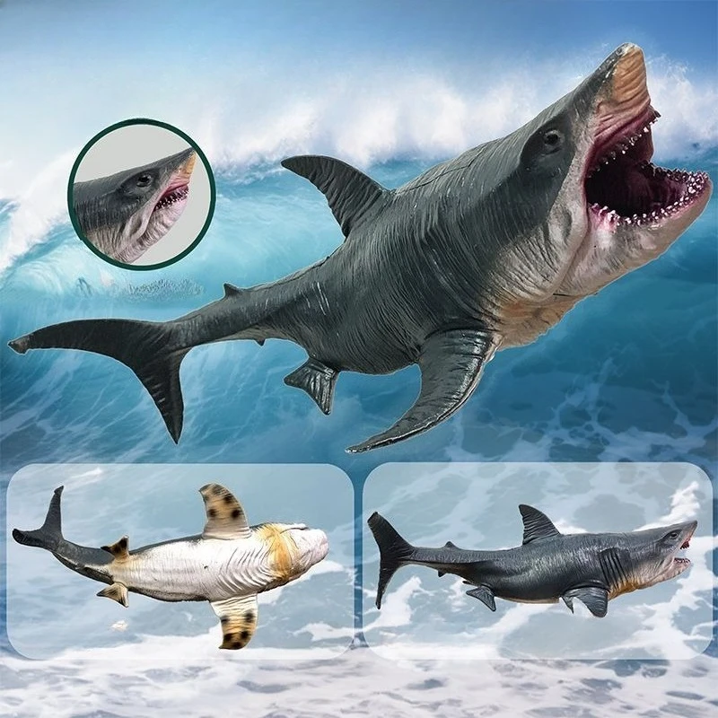 Simulation Marine Meer Leben Wal Figuren Hai Cachalot Action-figuren Ozean Tier Modell Delphin Hammerhai Pädagogisches Spielzeug