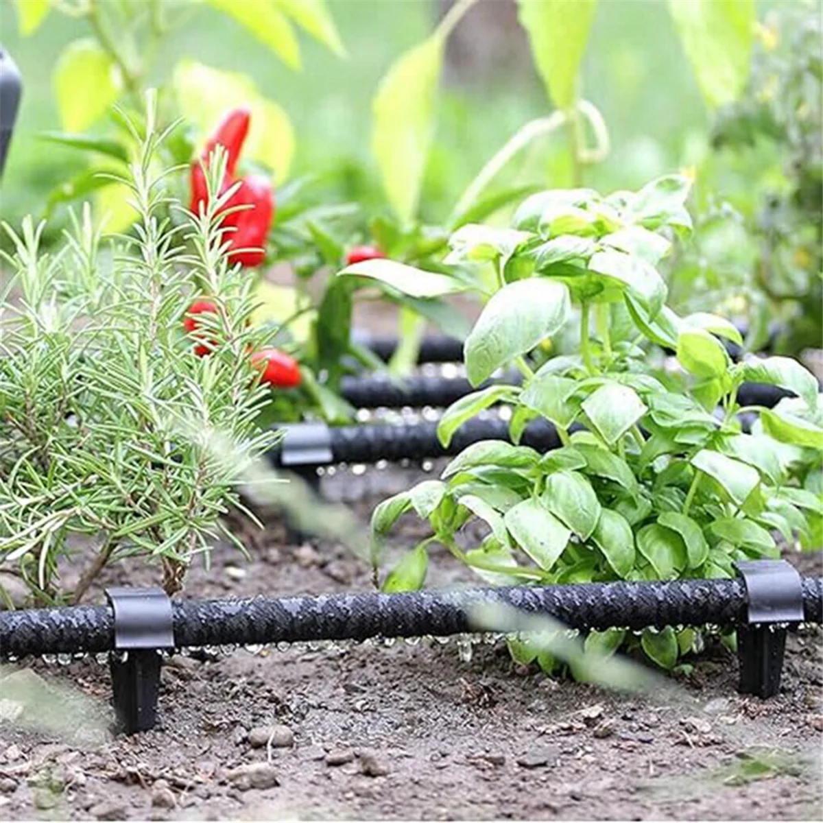 A71Z 50 peças hastes fixas de haste de aterramento, âncoras de mangueira de irrigação de jardim, suportes de tubulação de pilha fixa, suportes de tubulação para jardim