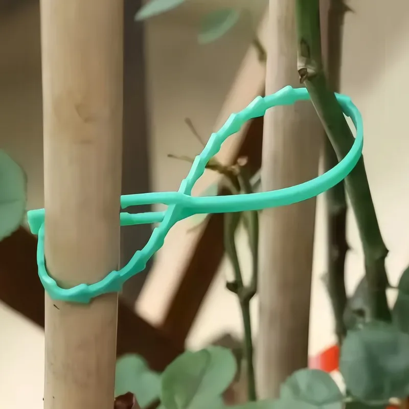 23Pcs13cmSelfLockAdjustableFishbone Cable Tie Suitable forGardeningPlantClimbing VineFixing、VineWindWindOrganizing、FruitSolid