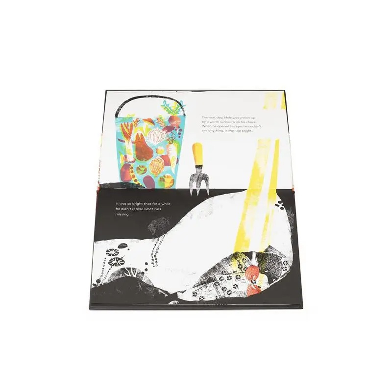 Tereza Sediva Mole In A Black And White Hole Tereza Sediva The Museum Of Modern Art New York 9780500652053 Book