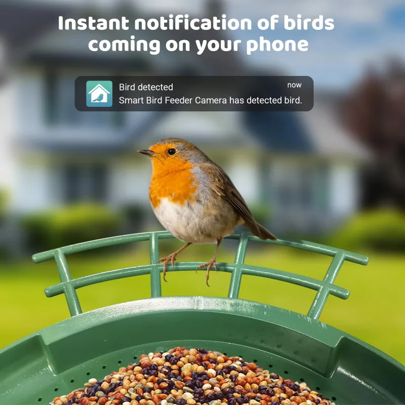 Smart Dual Camera Bird Feeder 2K HD Solar Powered 3L Capacity 170 Degree Dual View Night Vision WiFi APP Control