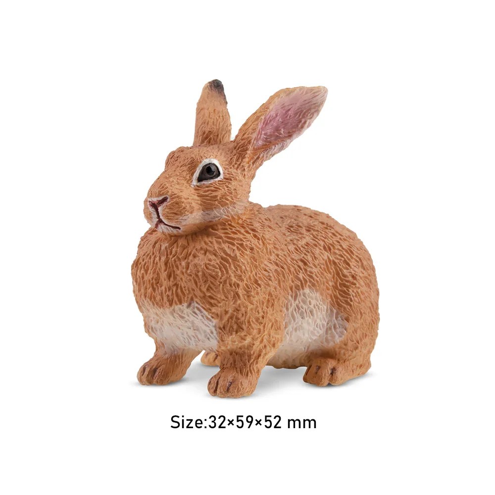 Toymany-Mini figurines de lapin flamand pour enfants, jouet modèle animal, poupées d'action, jouets d'Auckland, cadeau de simulation, quelque part