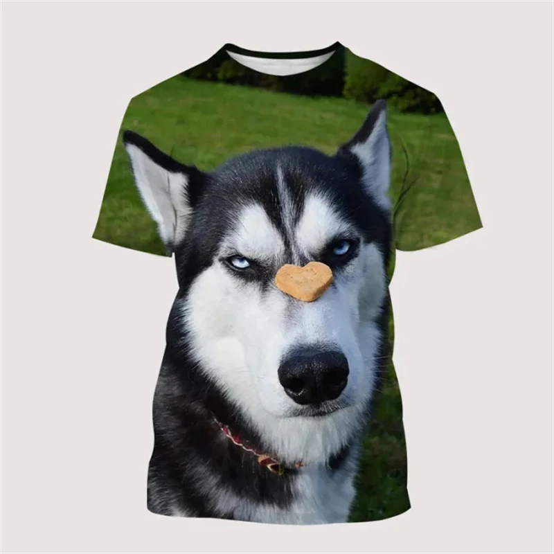 Funny Husky Graphic T Shirts For Men Fashion Casual Short Sleeve 3D Cute Dogs Printed Womens T-shirts Trend Loose Crew Neck Tees