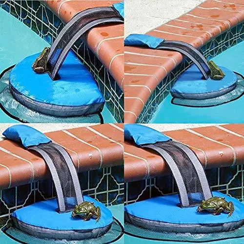 Outdoor Pool Escape Net Frog Bird Escape Net Love Saves Swimming Pool Animals Escape Channel