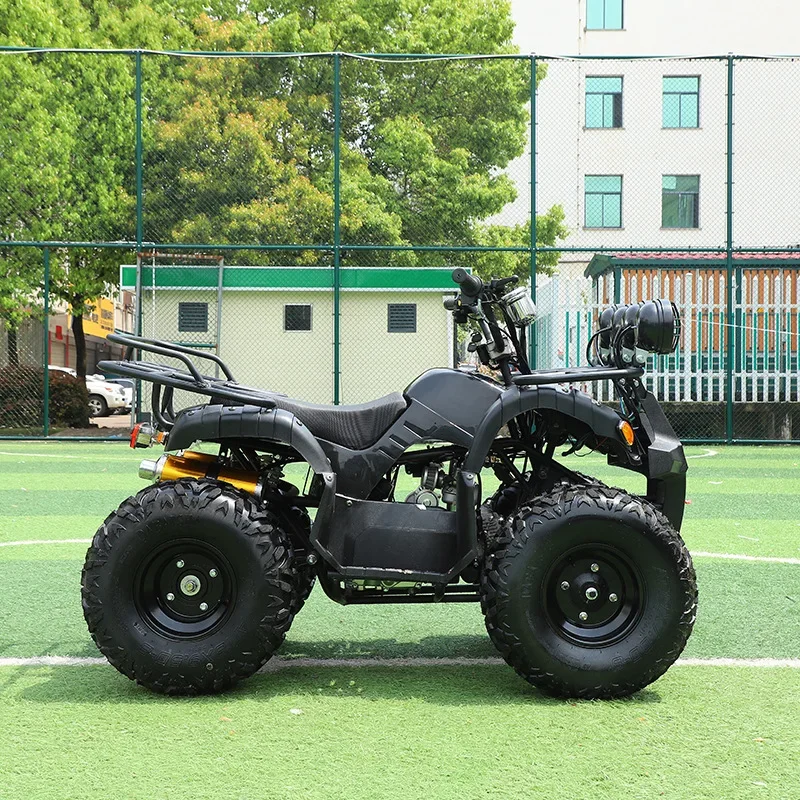 48V/500W Adults Electric ATV Quad Quad Bikes Atv Beach Buggy Mountain ATV