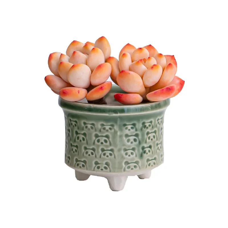 Mini Flowerpot Ice Split Glaze Cute Cartoon Leaf Plantlet Ceramic Meat Succulents Potted Indoor Gift Controlled Thumb Pot