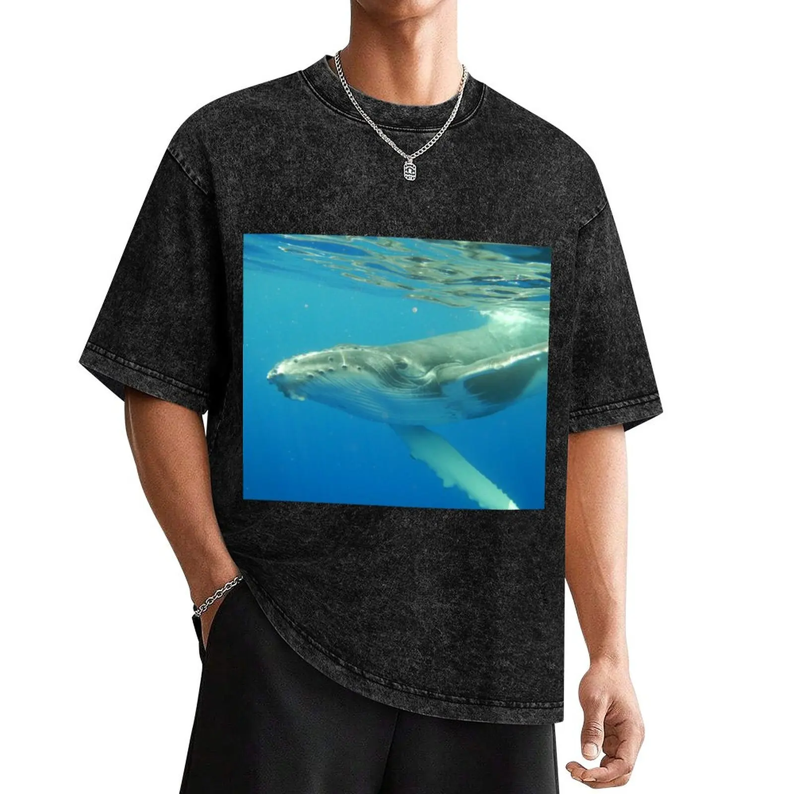 

Friendly Humpback whale calf T-Shirt basketball graphic tees anime mens workout shirts