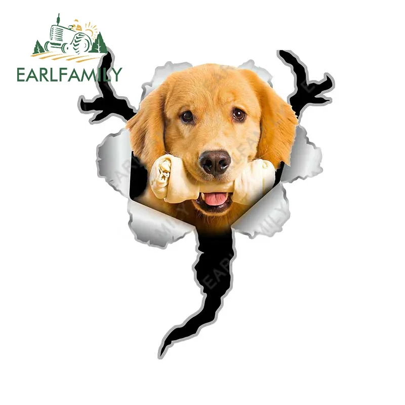 EARLFAMILY 13 سنتيمتر x 10.3 سنتيمتر لابرادور المسترد ملصقات السيارات الكتابة على الجدران الفينيل Campervan ملصق مائي اكسسوارات السيارات مضحك ويندوز ديكور