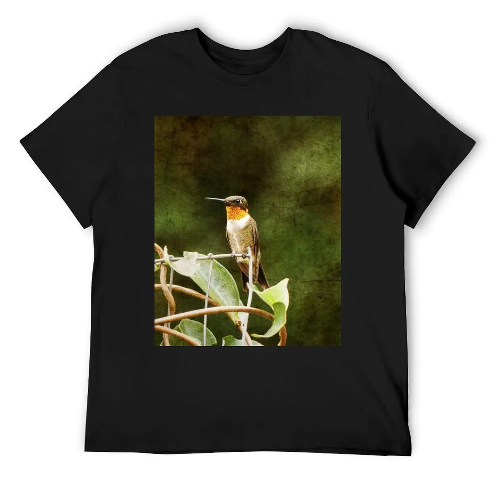 

Ruby Throated Hummingbird T-Shirt valentines clothes boys animal print vintage graphic tee shirts men