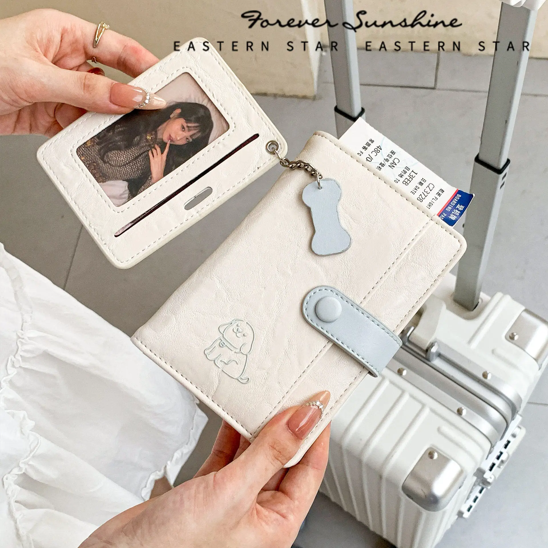 porta-passaporte-criativo-para-caes-carteira-integrada-para-documentos-de-viagem-estojo-de-protecao-e-organizador-de-cartoes