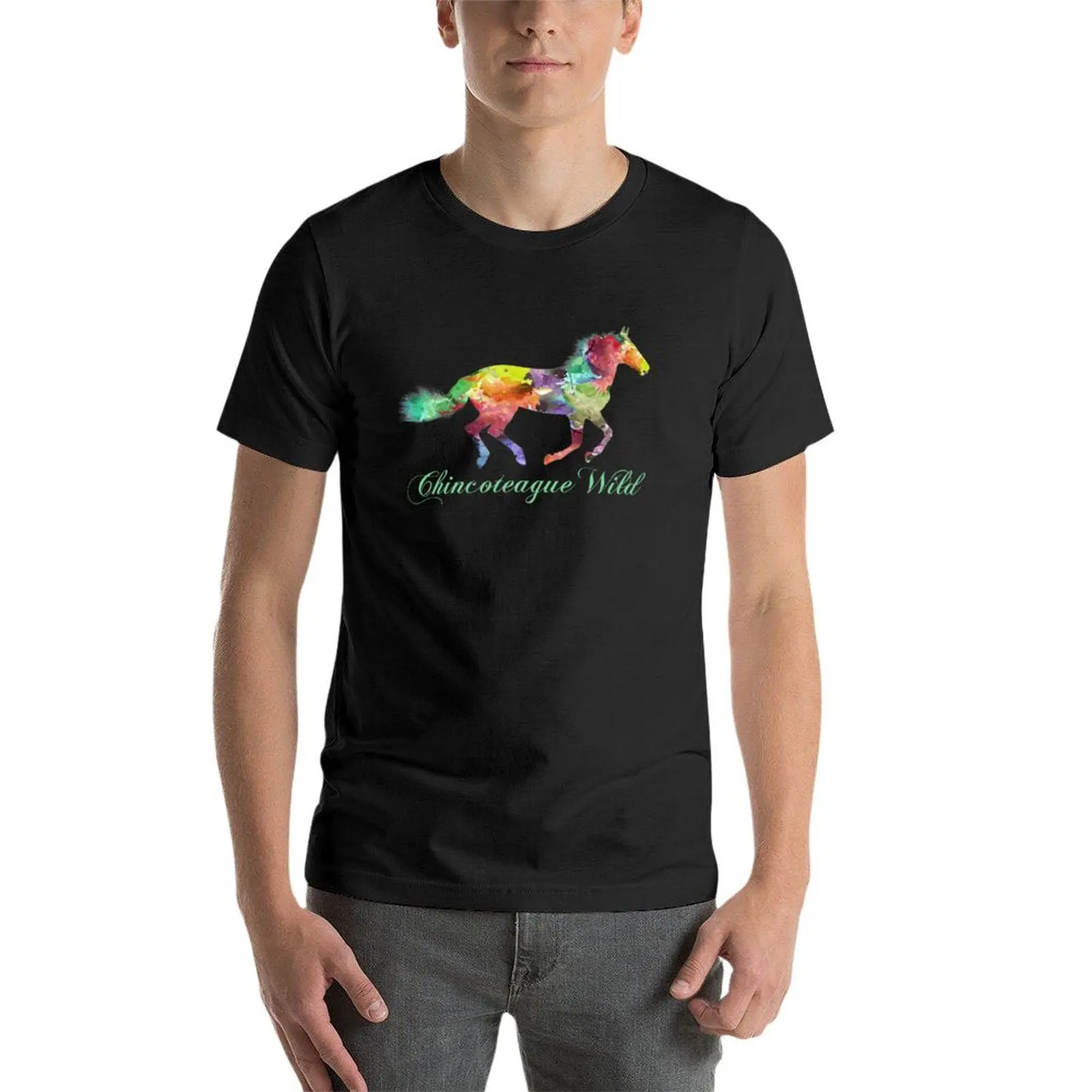 Koszulka Chincoteague Wild Pony tshirt zwykłe oversize funnys t shirty dla mężczyzn