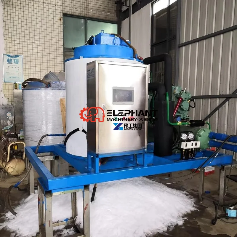 5 Ton 10 Ton CE Approved Industrial Ice Flake Machine Price for Sale in Africa Market