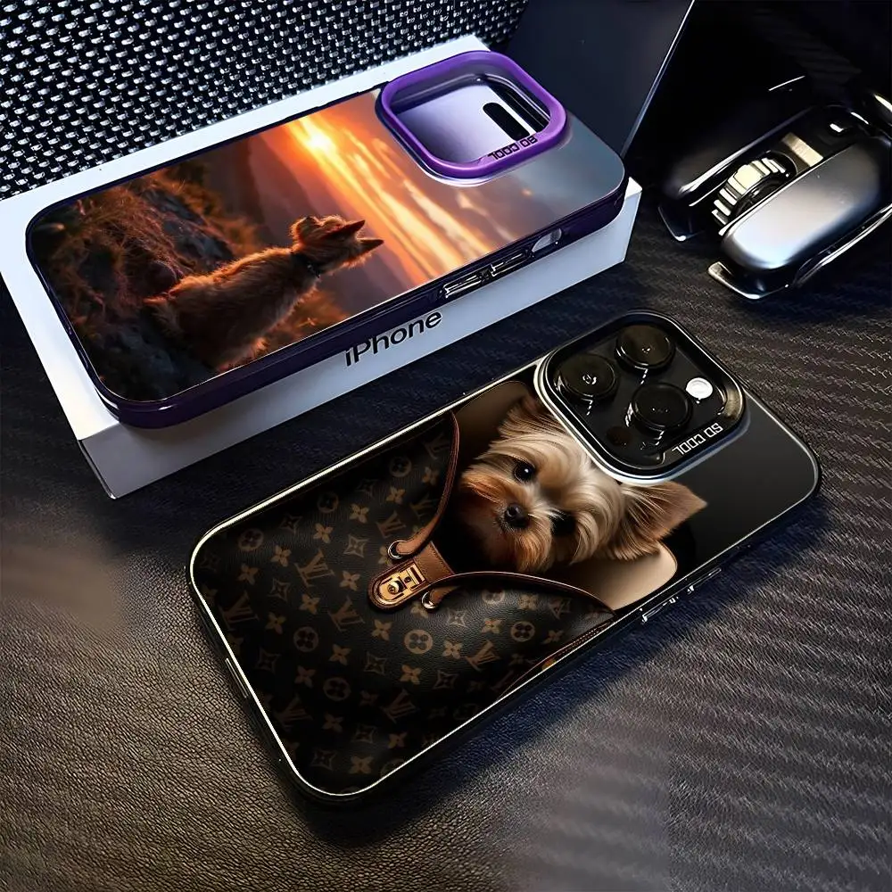 

Yorkshire Terrier Dog Phone Case For iPhone 16,15,14,13,12,11,Mini,Pro,MAX Black Matte Shockproof Cover