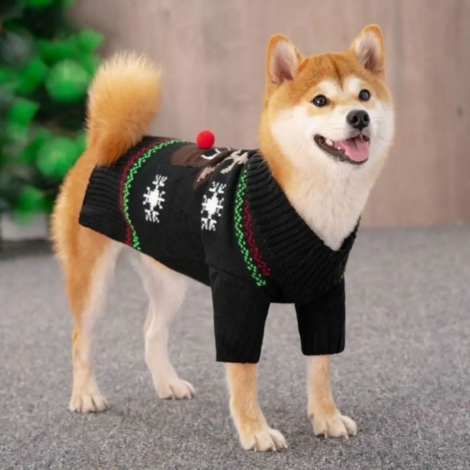 犬,子犬,ペット,レジャー,秋,冬のクリスマスセーター