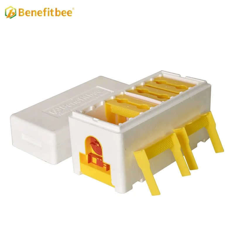 

Double Foam Polystyrene Mating Nuc Box, Queen Rearing Beehive, Complete Beekeeping Starter Kit for Beekeepers