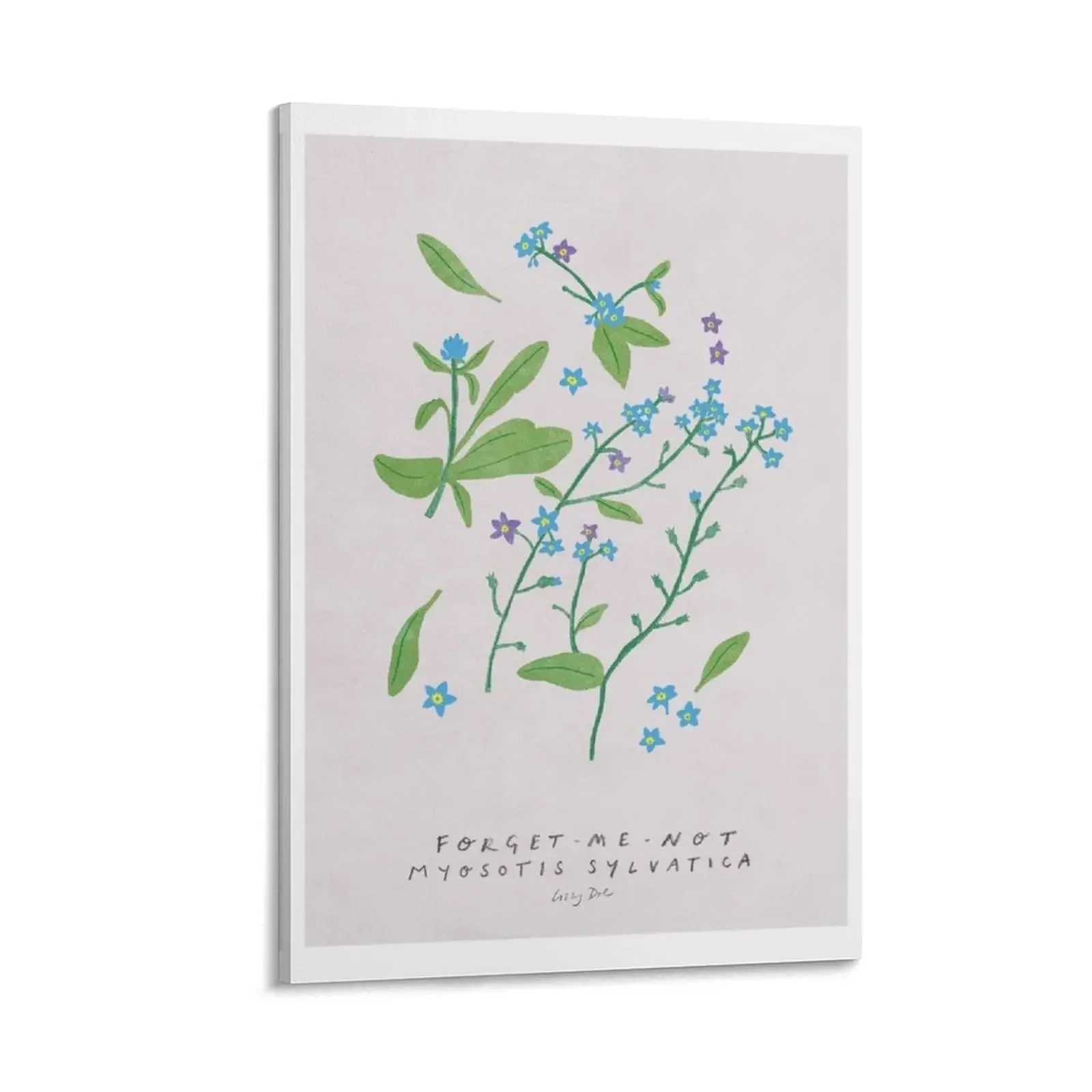

forget me not botanical print - summer flowers collection Canvas Painting room decors aesthetic modern home decoration
