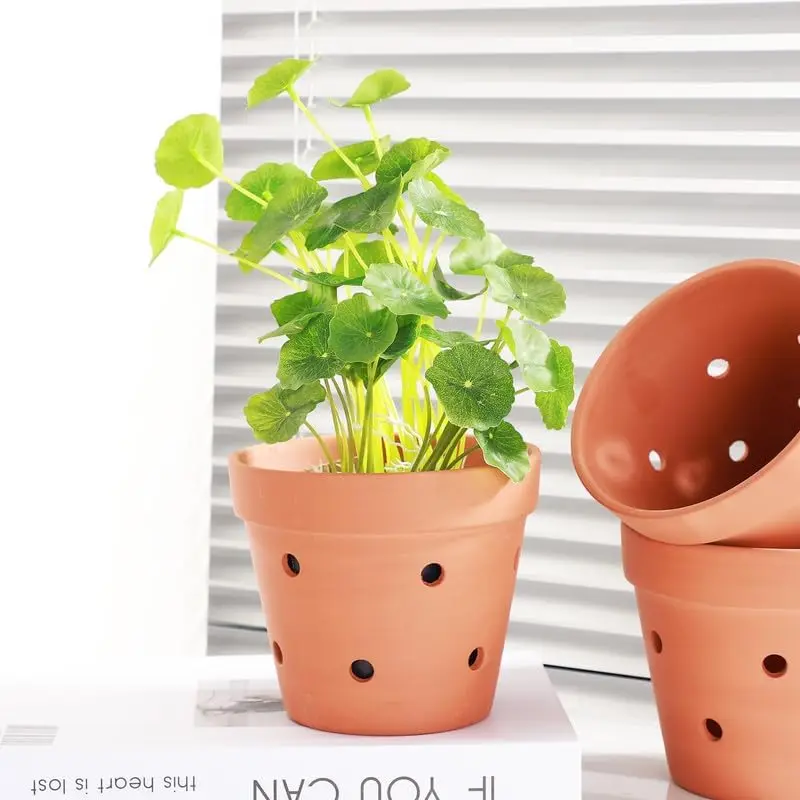 6 Pcs 4.5 inches Terracotta Orchid Pot with Drainage Holes for Repotting Indoor Outdoor Garden Succulents Air Circulation