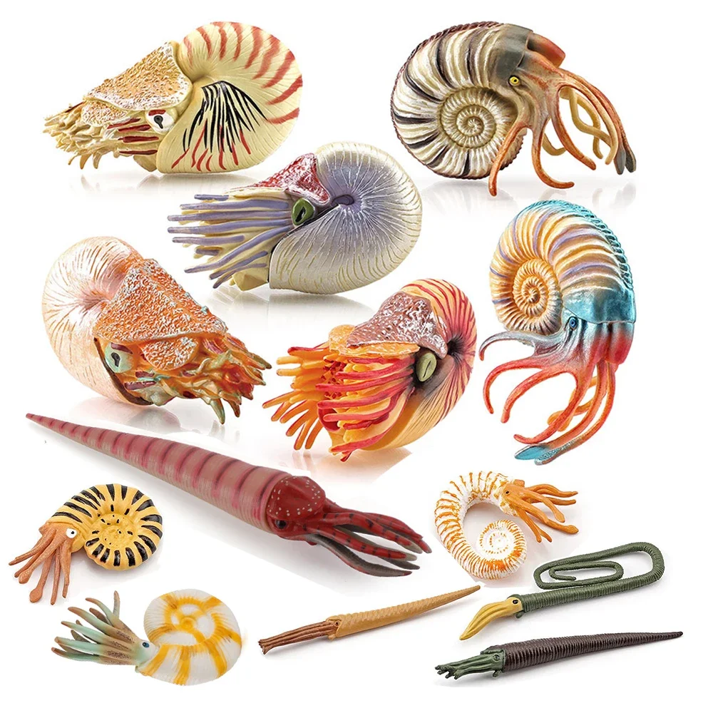 Морские игрушки, фигурки животных, Наутилус, камерунцерас, аммониты, морские фигурки, фигурки животных, пластиковые игрушки, игры, подарки для детей