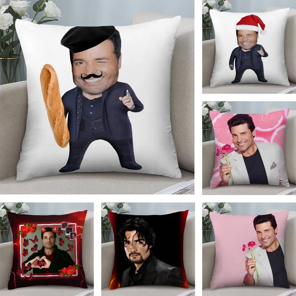 Almohada Chayanne Chiquito Cojin Peluche Chayanne Peluche De - Main Image