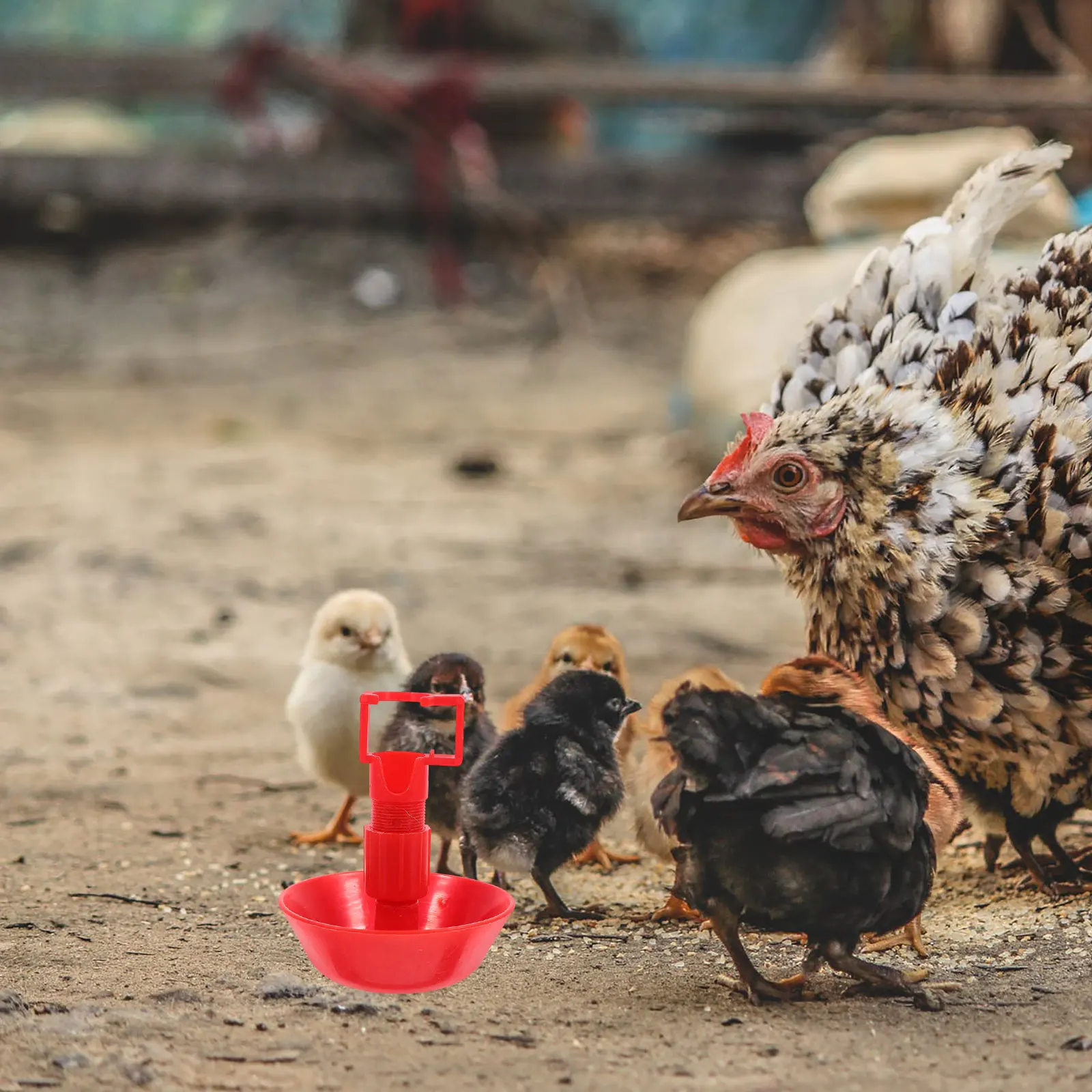 

10Pcs Automatic Chick Waterer Cups Easy Clean Poultry System Adjustable Flow for Healthy Growth and Hydration