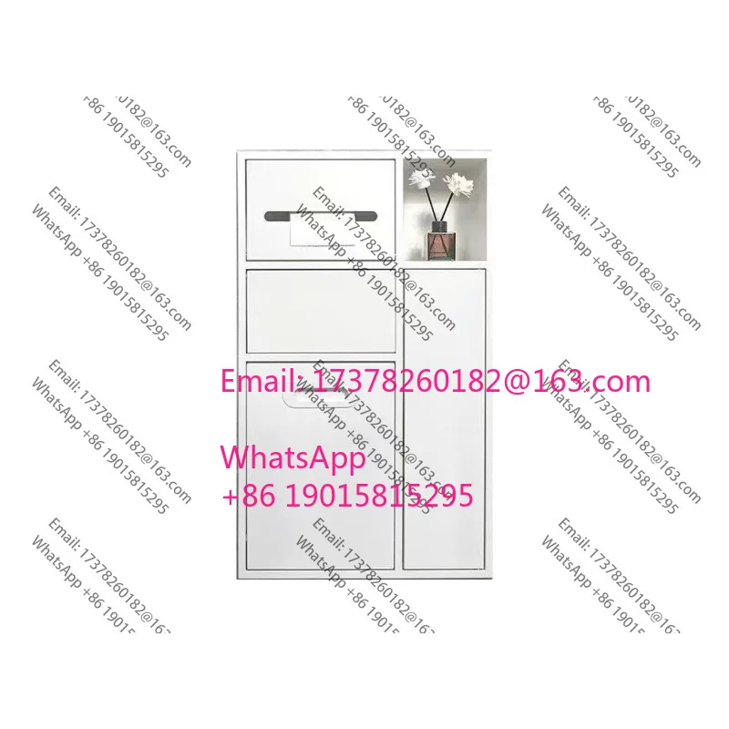 

Stainless steel toilet niche embedded toilet rack