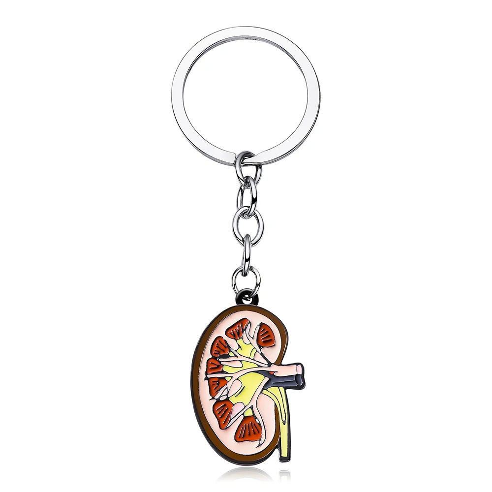 Medsor Medical Anatomy Kidney Keyring Medicine Urology Enamel Keychain Bag Backpack Doctor Nurse Jewelry Accessories