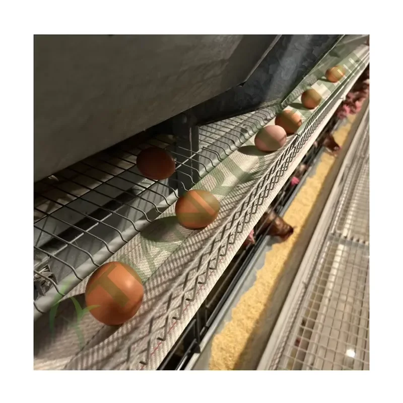 Automatic New Poultry Shed Layer H Type 3/4 Tiers Chicken Farm Galvanized Steel Layer Cages for All Standard Models