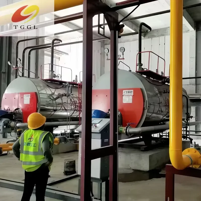 i WNS 1T-10T Natural & Heavy Oil Fired Low-Nitrogen Low Pressure Industrial Fire Tube Boiler Hot Water Output High