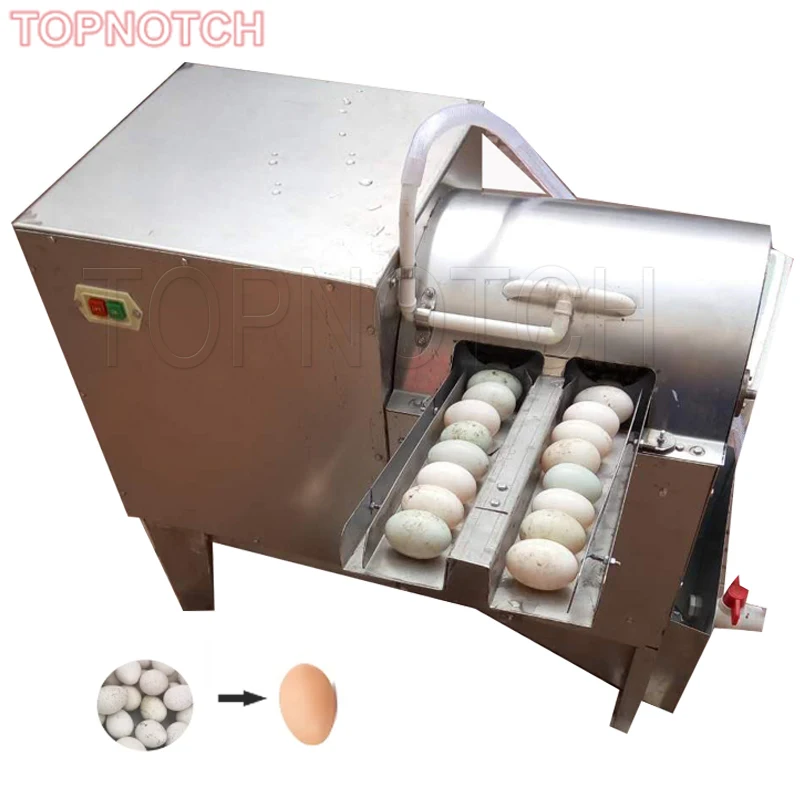 Double Row Egg Cleaning Machine, Limpador comercial, Limpador de ovos