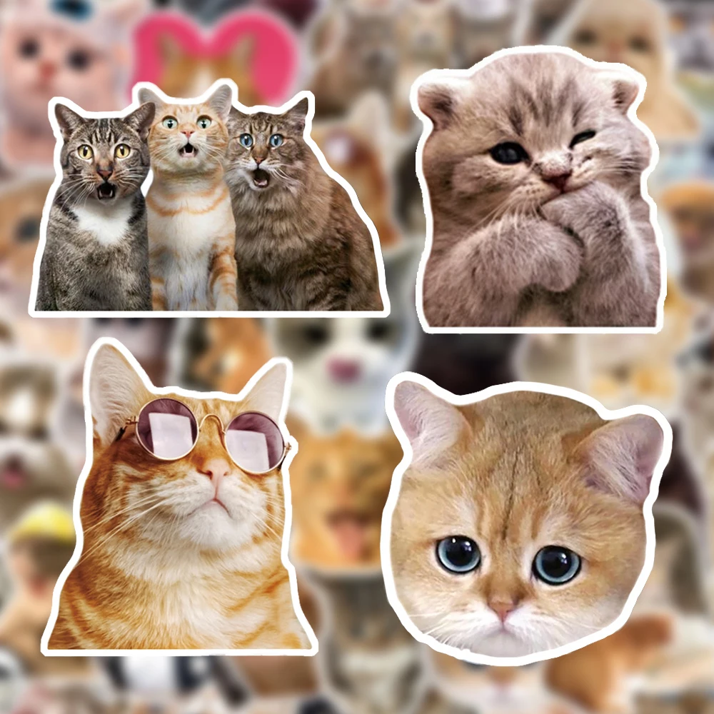 

10/30/50pcs Cute Cat Funny Animal Meme Stickers Creative Graffiti Decals Skateboard Notebook Phone Classic Kids Toy Sticker Pack