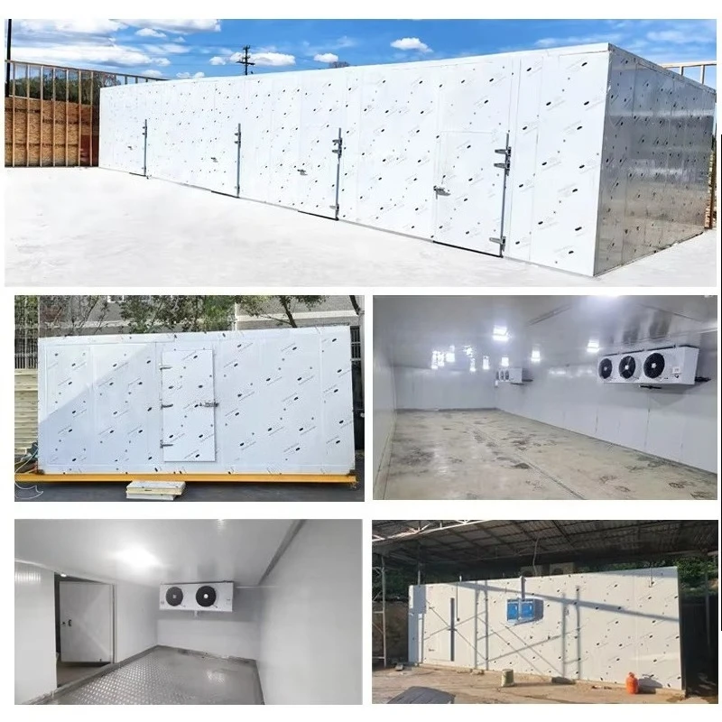 Customized Walk In Freezer Cold Storage Room Professional Refrigeration Equipment For Commercial Long Term Food