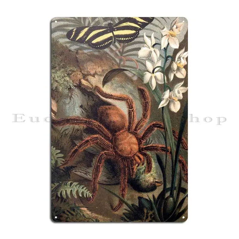 Crab Spider Vintage Illustration Geekimpact Metal Plaque Poster Design Designing Living Room Party Print Tin Sign Poster