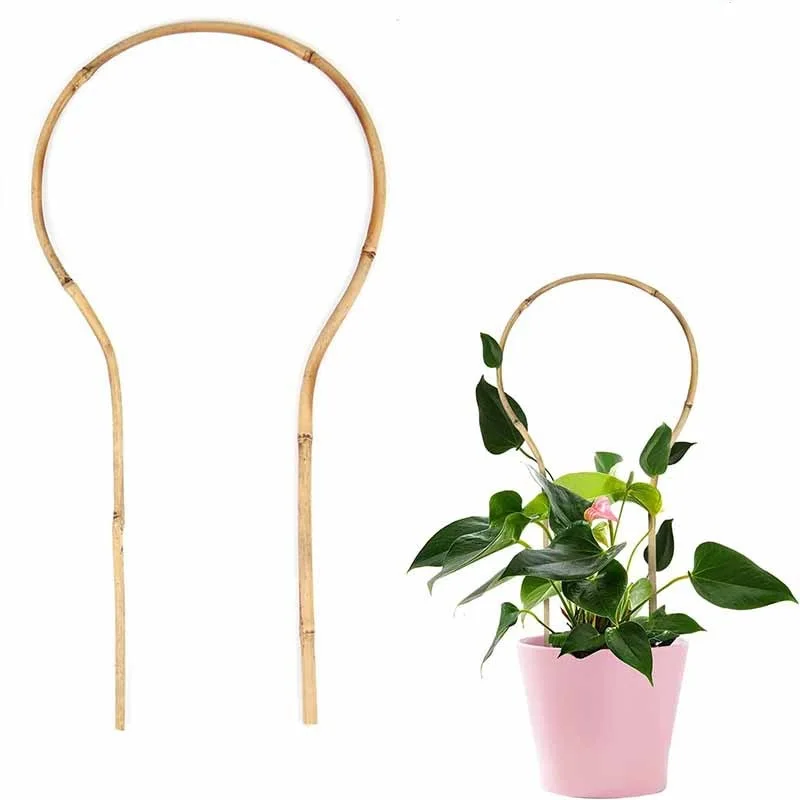 6pcs/set Bamboo Trellis for Climbing Plants Climber for Potted Houseplants Rose Pothos Monstera Indoor Outdoor