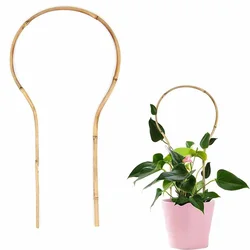 6pcs/set Bamboo Trellis for Climbing Plants Climber for Potted Houseplants Rose Pothos Monstera Indoor Outdoor