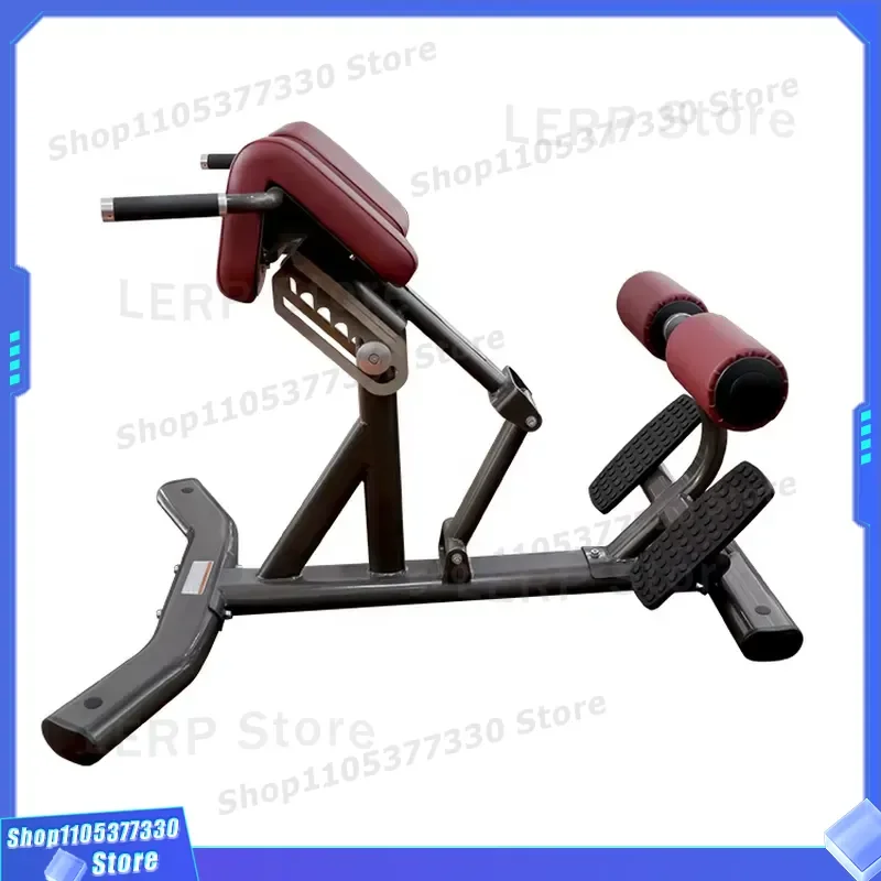 Adjustable Roman Chair Back Extension Bench Commercial Gym Equipment for Abdominal Crunches Strength Training Fitness Machine