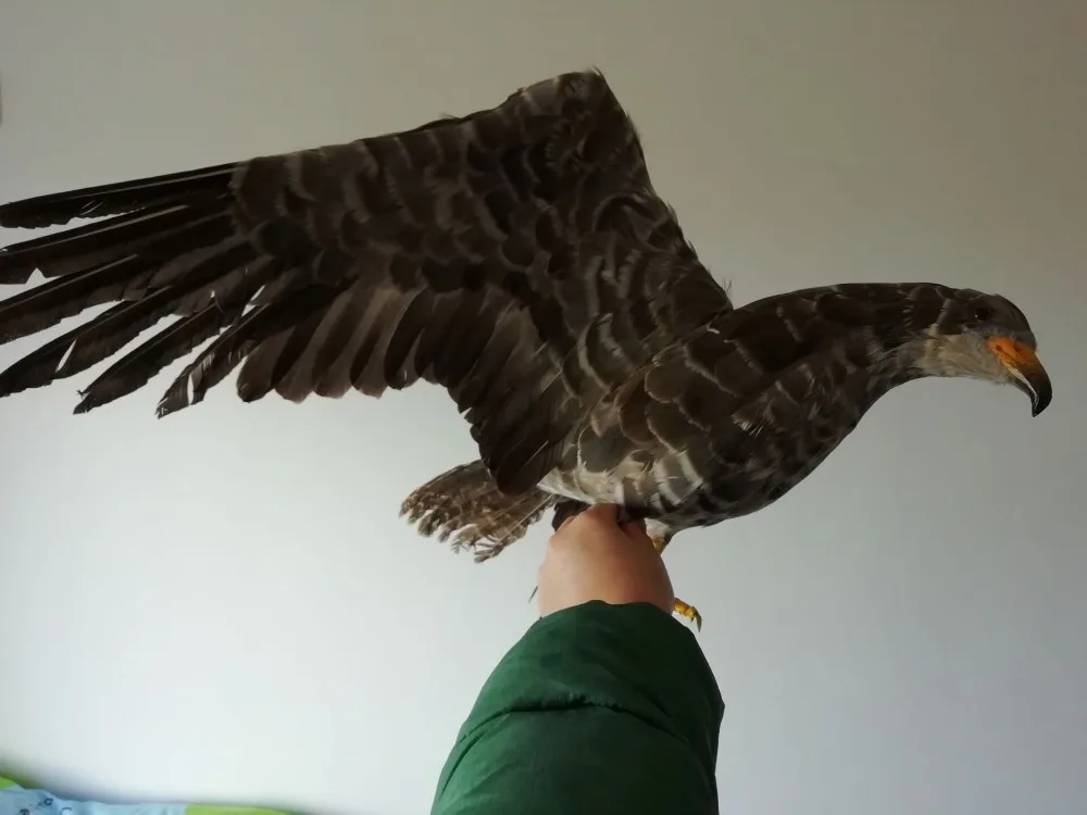 Big Gray Eagle Model Toy Real Life Wings Foam Feather Bird Gift Approx. 45x80cm D0116