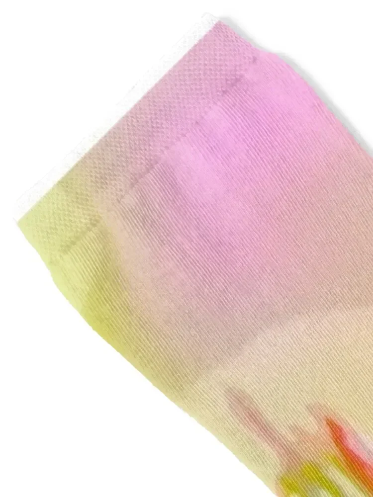 Spring Rose Socks funny gifts compression floral gift Ladies Socks Men's